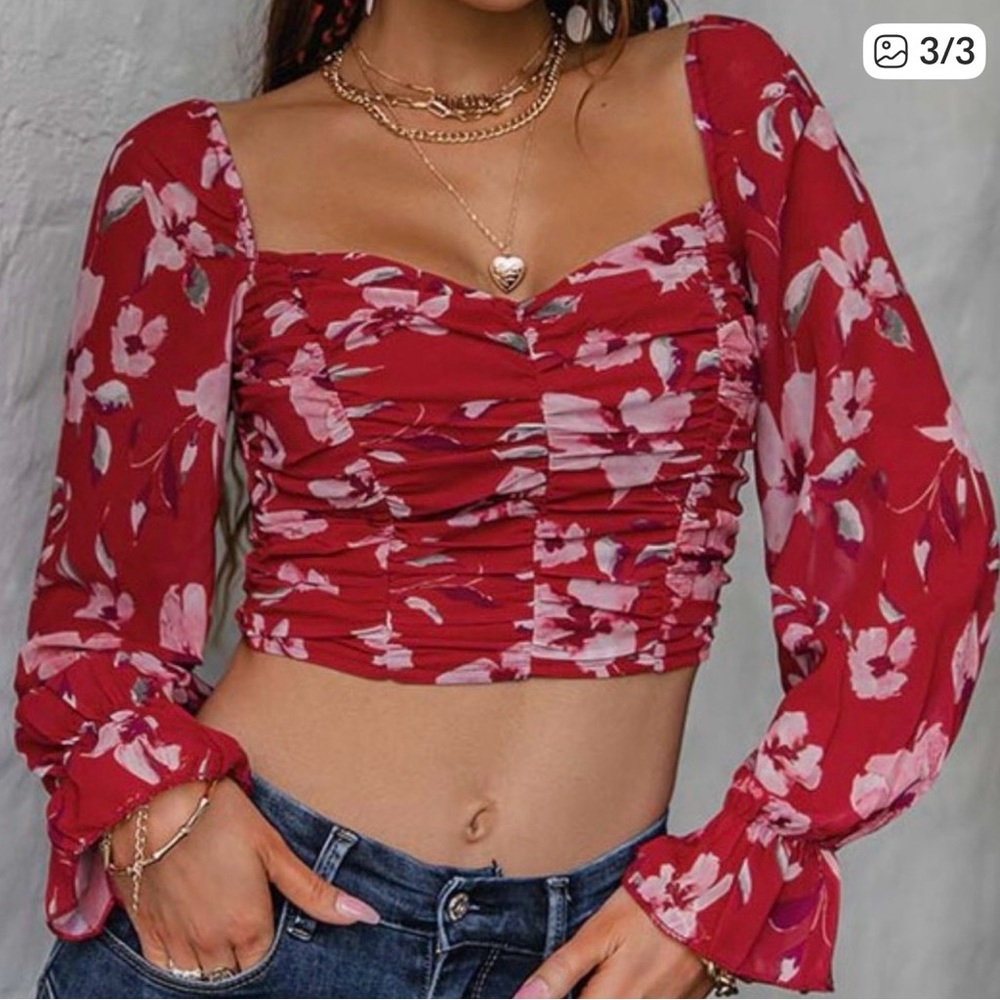 The Wild Clover Red Floral Crop Top